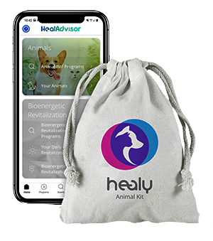 Healy Animal Subscription, healy animal subscription #healyanimalsubscription #healydogkit, HealAdvisor, bundle, animal, horse, module, healy, kit, dog, cat, pig, monkey, rabbit, ape, lion, tiger, healy, pet, app, pet app, pet, apps, device, apps, coupon, Healy Animal Bundle, healadvisor, heal advisor, discount, #healycatkit #healy #HealyDevice #healyapps #healyapp #coupon #discount #healadvisor